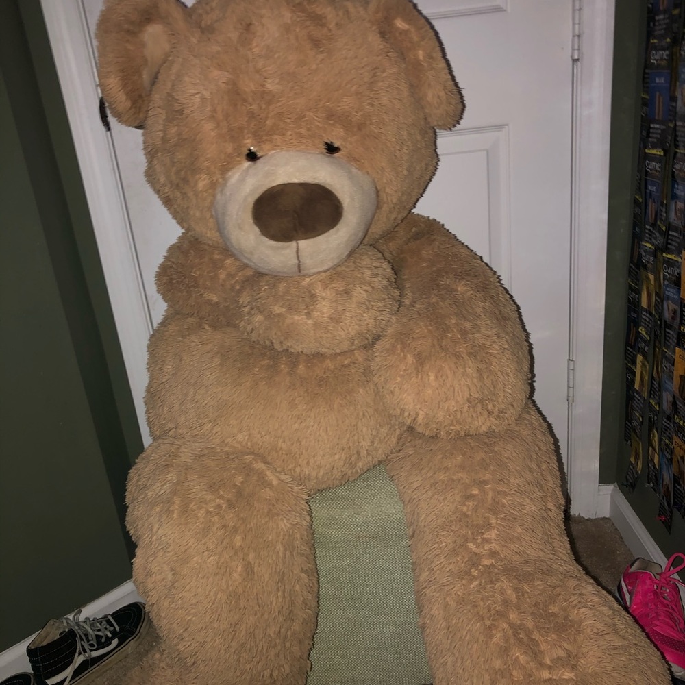 Bear - Picture 3 of 3